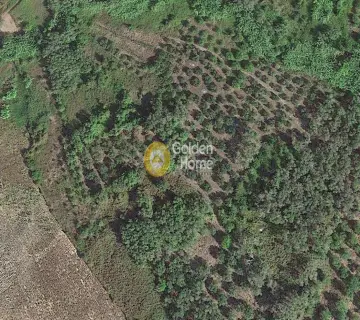 Parcel 26143m<sup>2</sup> for sale photo 3757507