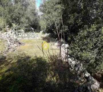 Residential 8100m<sup>2</sup> for sale photo 4493160