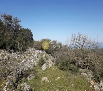 Residential 8100m<sup>2</sup> for sale photo 4493161