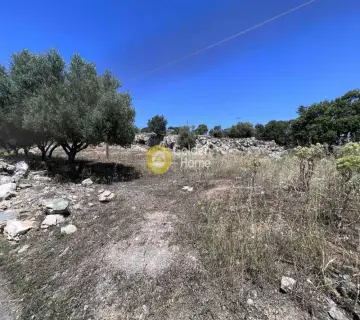 Residential 750m<sup>2</sup> for sale photo 8