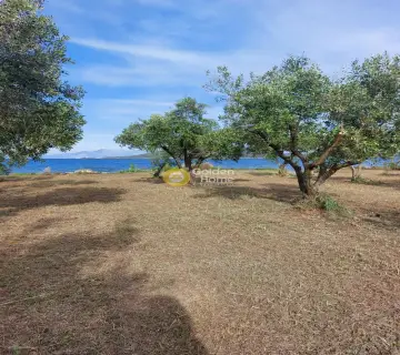 Residential 6000m<sup>2</sup> for sale photo 4