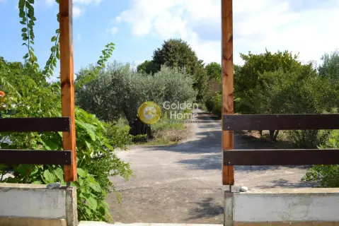 House 80m<sup>2</sup> for sale photo 5