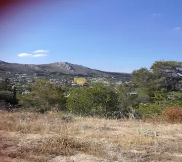 Οικιστικό 2250τ.μ. προς πώληση φωτογραφία 13