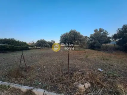 Residential 798m<sup>2</sup> for sale photo 4