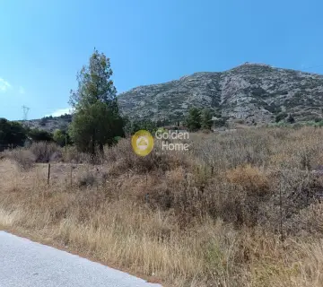 Οικιστικό 1200τ.μ. προς πώληση φωτογραφία 3738719