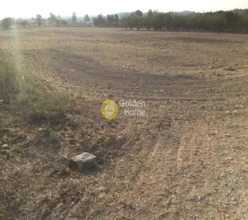 Parcel 15476m<sup>2</sup> for sale photo 3833621
