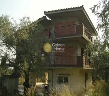 Golden Home Property Image