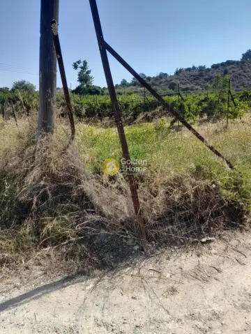 Οικιστικό 4292τ.μ. προς πώληση φωτογραφία 2