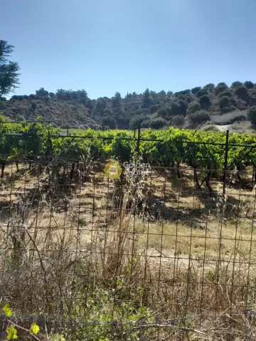 Οικιστικό 4292τ.μ. προς πώληση φωτογραφία 4