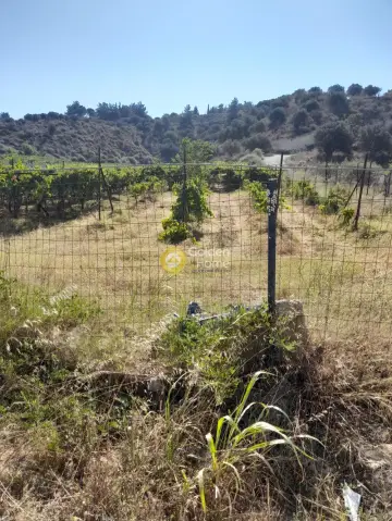 Οικιστικό 4292τ.μ. προς πώληση φωτογραφία 5