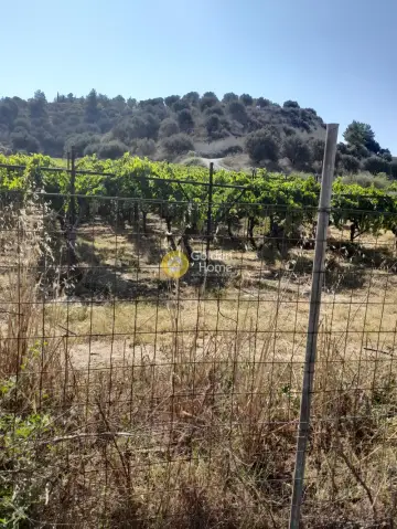 Οικιστικό 4292τ.μ. προς πώληση φωτογραφία 6