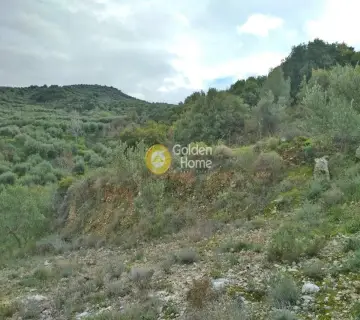Residential 7715m<sup>2</sup> for sale photo 29