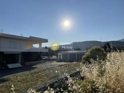 Βιομηχανικός - Βιοτεχνικός Χώρος 1500τ.μ. προς πώληση φωτογραφία 12