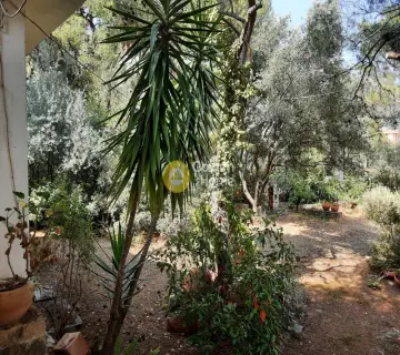 Μονοκατοικία 67τ.μ. προς πώληση φωτογραφία 16