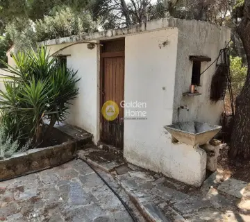 Μονοκατοικία 67τ.μ. προς πώληση φωτογραφία 50