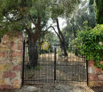 Residential 1000m<sup>2</sup> for sale photo 3746023