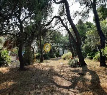 Residential 1000m<sup>2</sup> for sale photo 3746025
