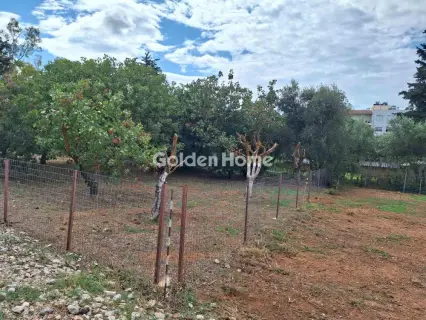 Residential 651m<sup>2</sup> for sale photo 8