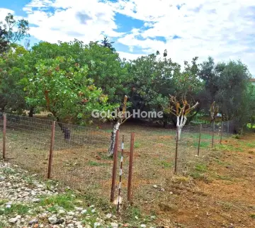 Residential 651m<sup>2</sup> for sale photo 2