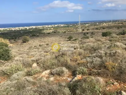 Parcel 24600m<sup>2</sup> for sale photo 3