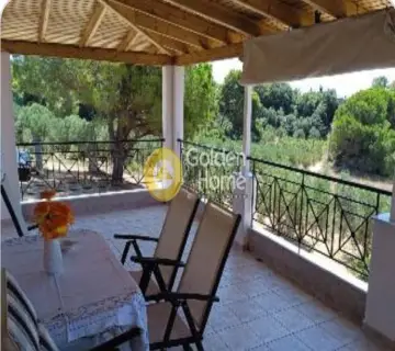 Golden Home Property Image