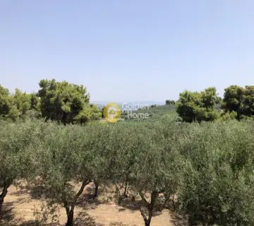 Μονοκατοικία 300τ.μ. προς πώληση φωτογραφία 54