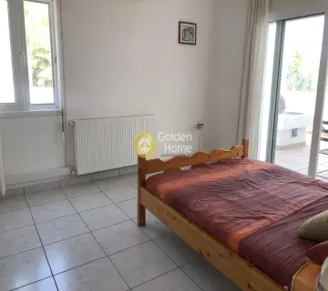 Μονοκατοικία 300τ.μ. προς πώληση φωτογραφία 19
