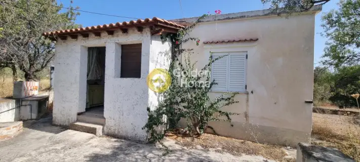 House 60m<sup>2</sup> for sale photo 2