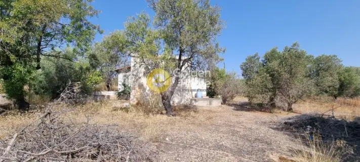 House 60m<sup>2</sup> for sale photo 1