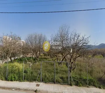 Επαγγελ. Οικόπεδο 1055τ.μ. προς ενοικίαση φωτογραφία 3786824