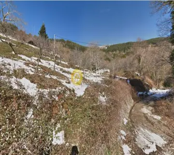 住宅 9204m<sup>2</sup> for sale photo 3751126
