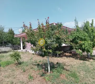 Μονοκατοικία 78τ.μ. προς πώληση φωτογραφία 8