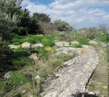 Residential 1000m<sup>2</sup> for sale photo 3
