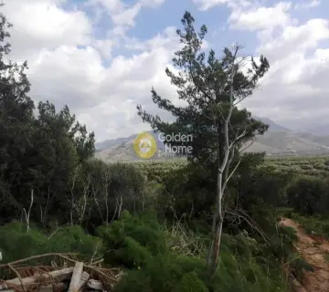 Residential 1000m<sup>2</sup> for sale photo 13