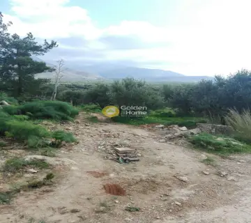 Residential 1000m<sup>2</sup> for sale photo 15