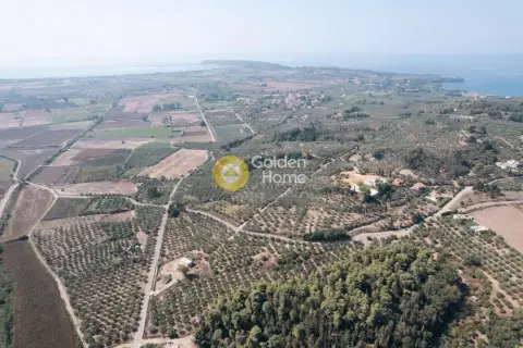 住宅 17100m<sup>2</sup> for sale photo 4395299