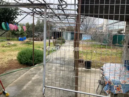 House 339m<sup>2</sup> for sale photo 6