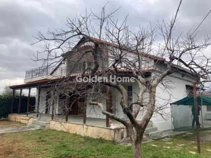 House 339m<sup>2</sup> for sale photo 3