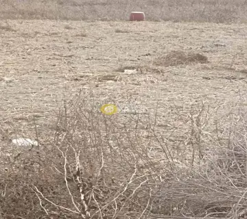 Professional Plot 2800m<sup>2</sup> for rent photo 3888013