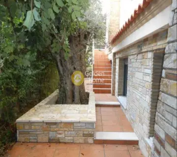 Μονοκατοικία 295τ.μ. προς πώληση φωτογραφία 2