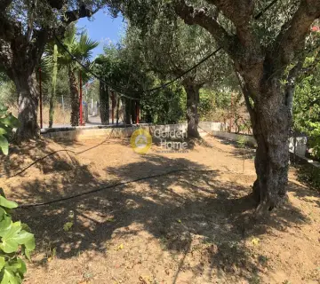 Residential 2600m<sup>2</sup> for sale photo 3765344