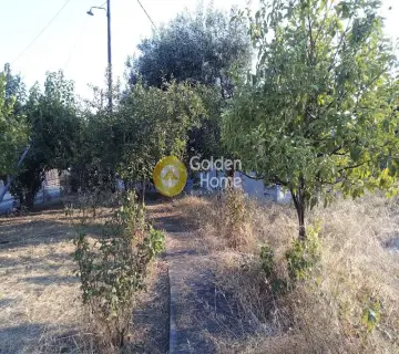 Μονοκατοικία 101τ.μ. προς πώληση φωτογραφία 8