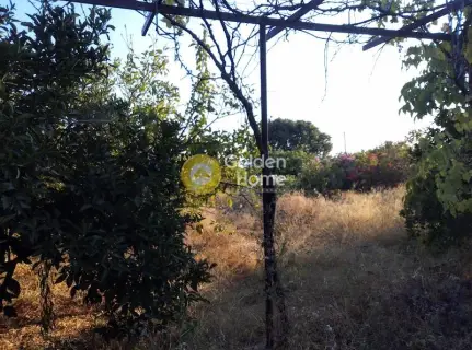 Residential 1000m<sup>2</sup> for sale photo 3766794