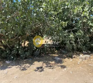 Residential 548m<sup>2</sup> for sale photo 12