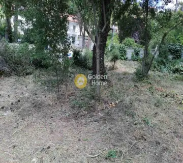 Οικιστικό 800τ.μ. προς πώληση φωτογραφία 3769376