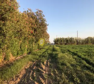 Residential 20500m<sup>2</sup> for sale photo 3769818