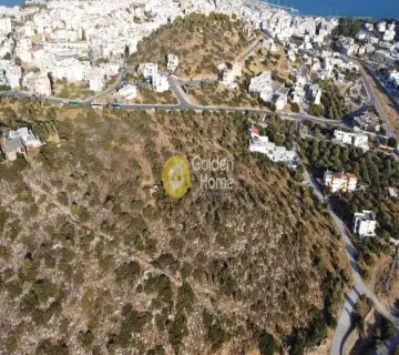 Golden Home Property Image