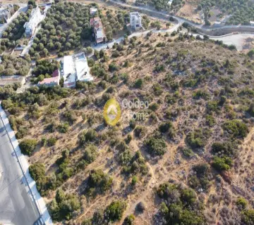 Professional Plot 17500m<sup>2</sup> for sale photo 3775597