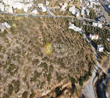 Professional Plot 17500m<sup>2</sup> for sale photo 3775600