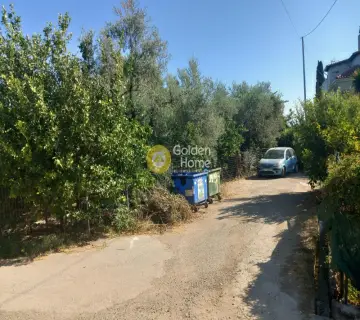 Parcel 1000m<sup>2</sup> for sale photo 3781289